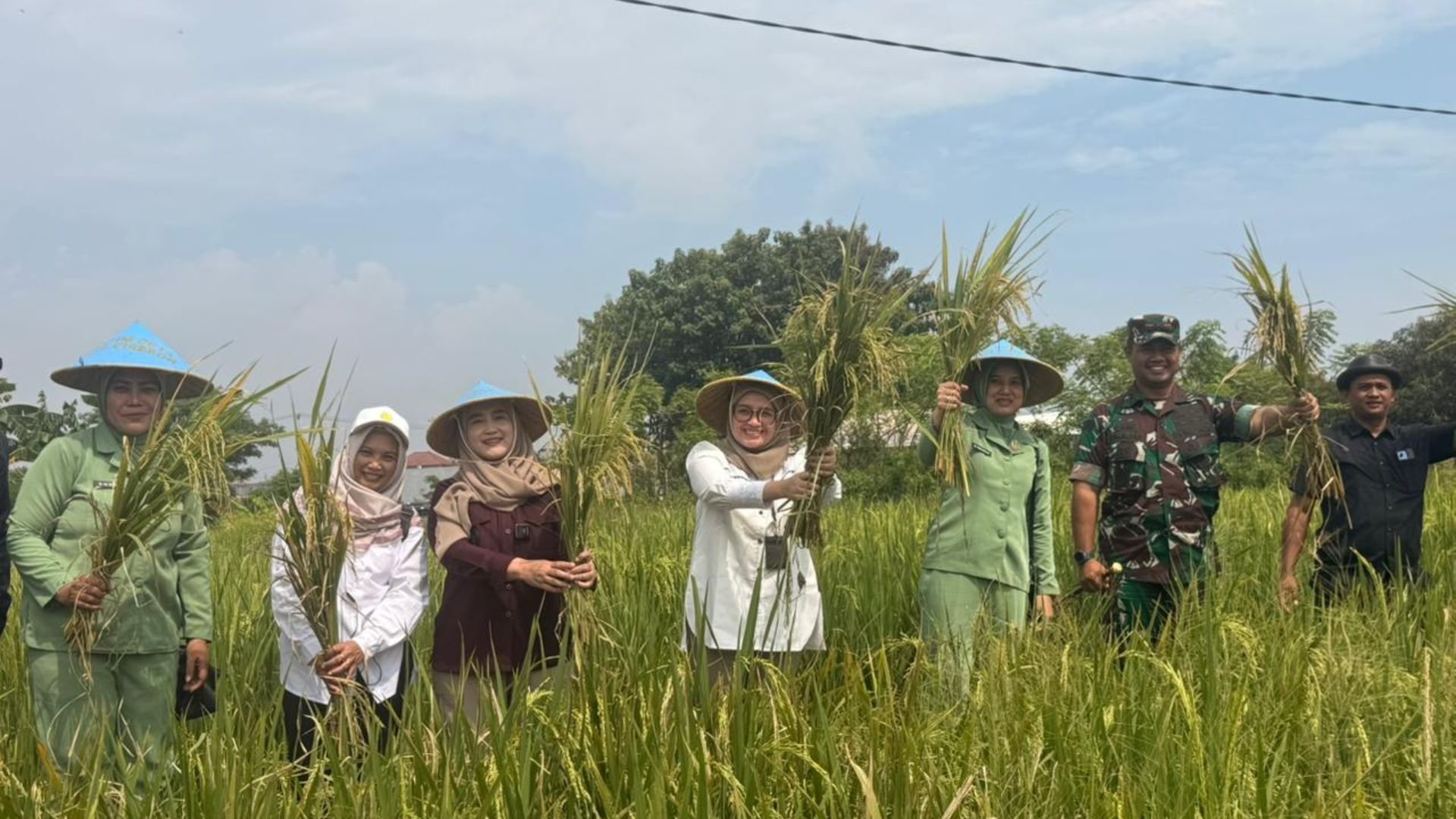 Sinergi Lintas Sektor, Wakil Wali Kota Cirebon Kawal Langsung Penyerapan Gabah Petani Larangan