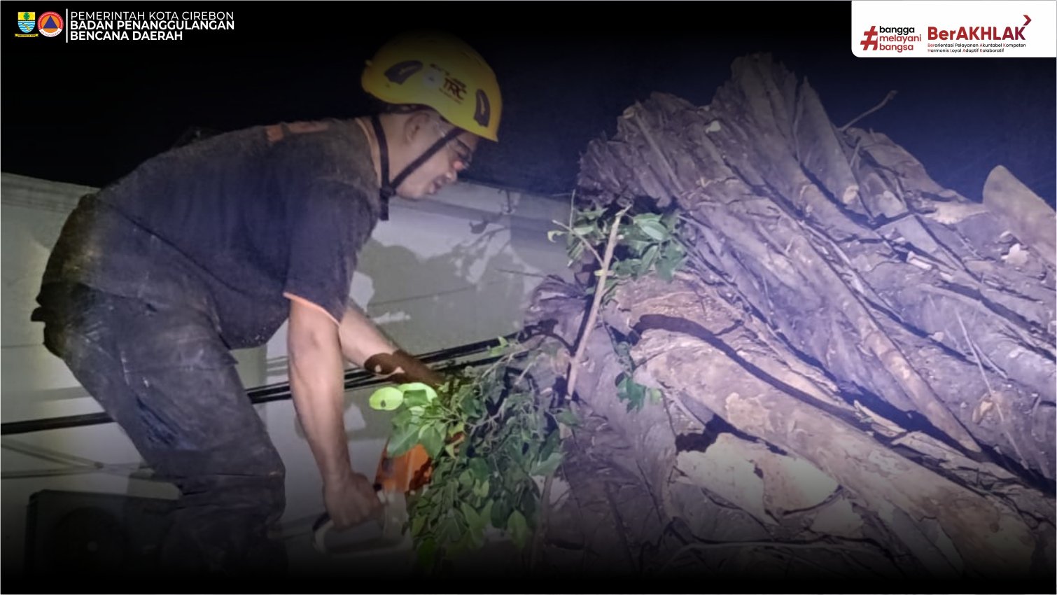 DIDUGA LAPUK, POHON BERINGIN BERDIAMETER 1,5 METER TUMBANG