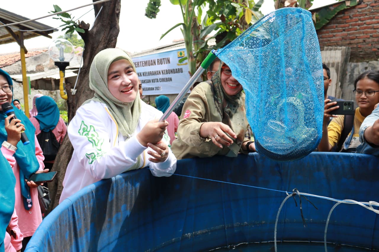 Budidaya Ikan Lele, Ubah Lahan Rumah Menjadi Sumber Protein untuk Pencegahan Stunting