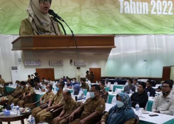 Sosialisasi Implementasi Pengawasan Perizinan berusaha berbasis resiko tahun 2022